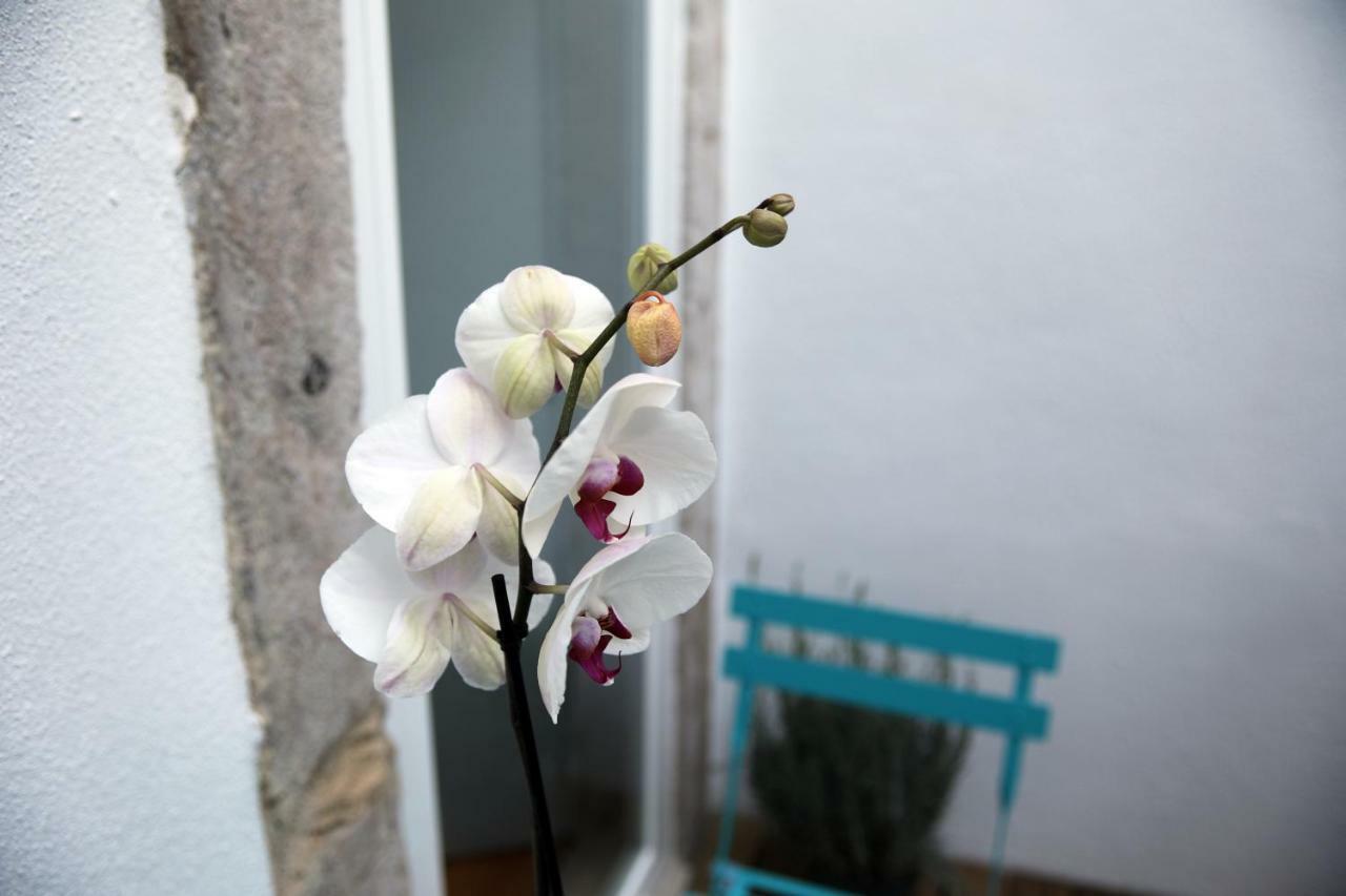 Santo Amaro's House Apartment Lissabon